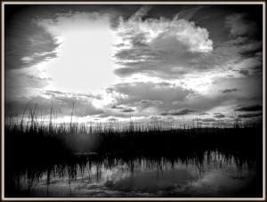 045 655D09E9-7AFB-4412-9D5F-ACF884AF4077